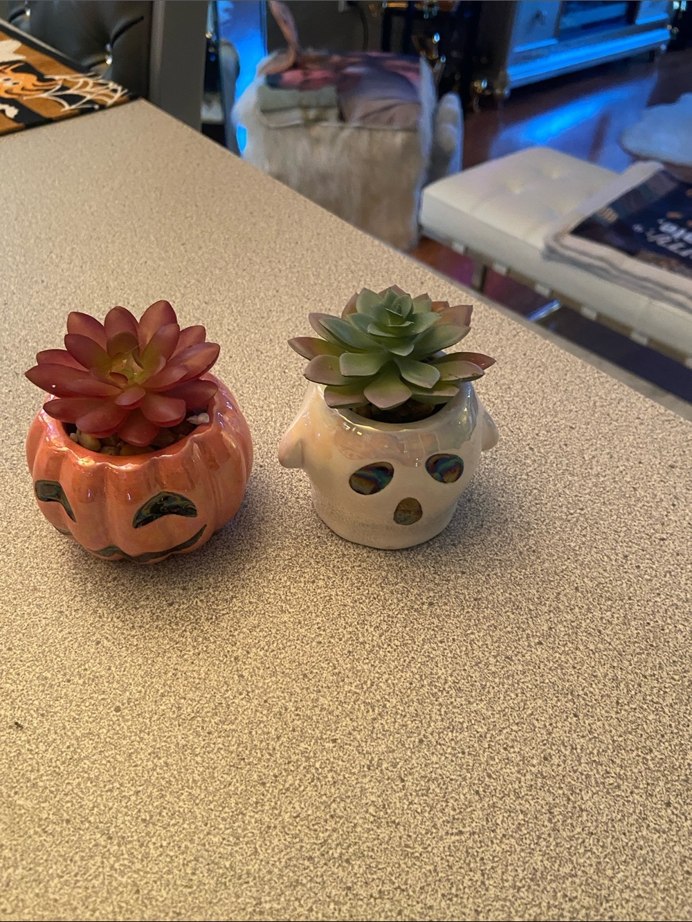 Ceramic Halloween Pumpkin & Ghost Succulent Planters - Orange and White